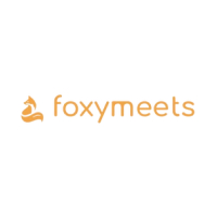 Foxymeets - Summarizer